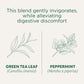 Traditional Medicinals Organic Green Tea, Peppermint, 16 Teabags (Pack Of 6)
