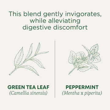 Traditional Medicinals Organic Green Tea, Peppermint, 16 Teabags (Pack Of 6)