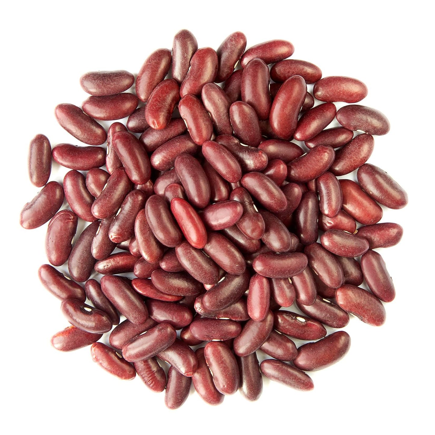 Food To Live - Organic Red Kidney Beans, 1 Pound - Non-Gmo, Dry, Raw, Sproutable, Vegan, Kosher, Bulk
