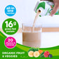 Orgain Organic Nutritional Protein Shake - 16g Grass Fed Whey Protein, 20 Vitamins & Minerals, 11 Fl Oz (Pack of 12), Iced Café Mocha