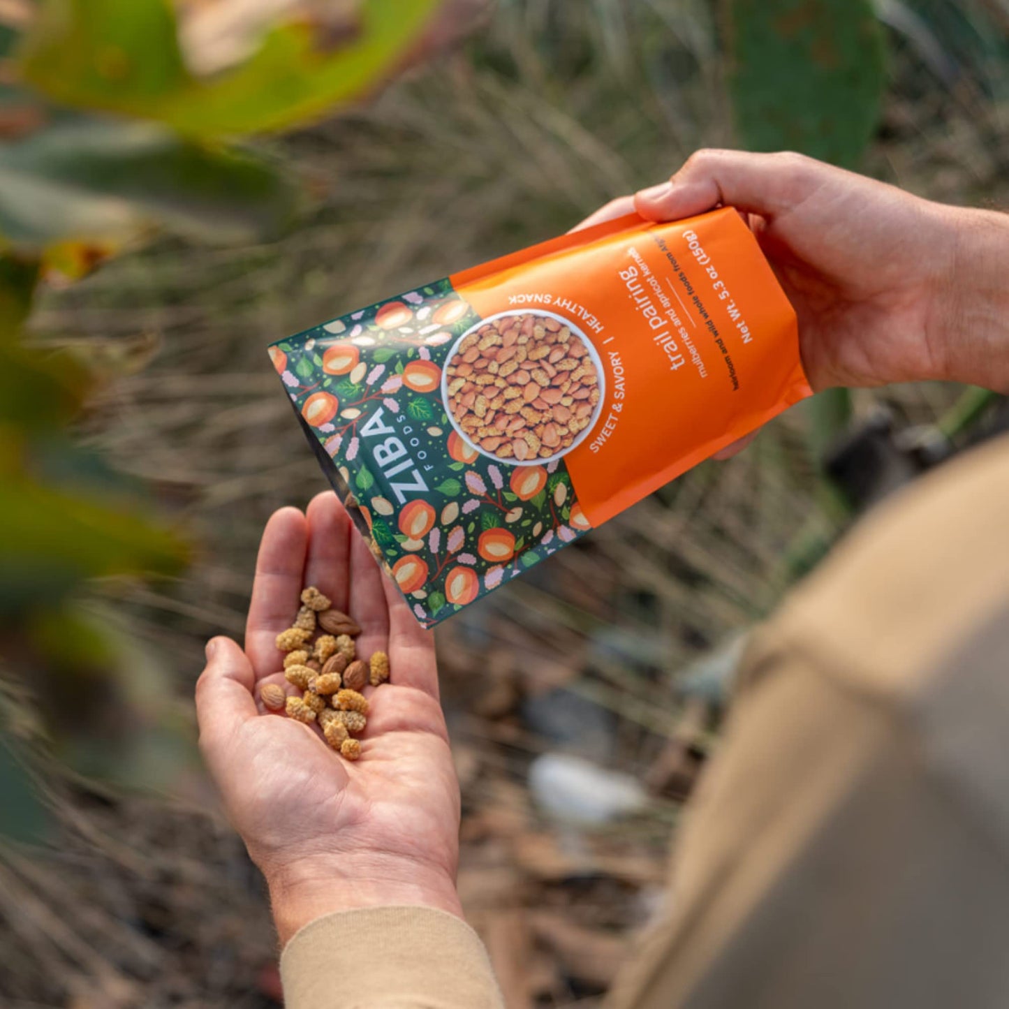 Ziba Foods Trail Pairing Sweet Apricot Kernels & Dried Mulberries, Non-GMO, Vegan, 1.76 Ounce (Pack of 6)
