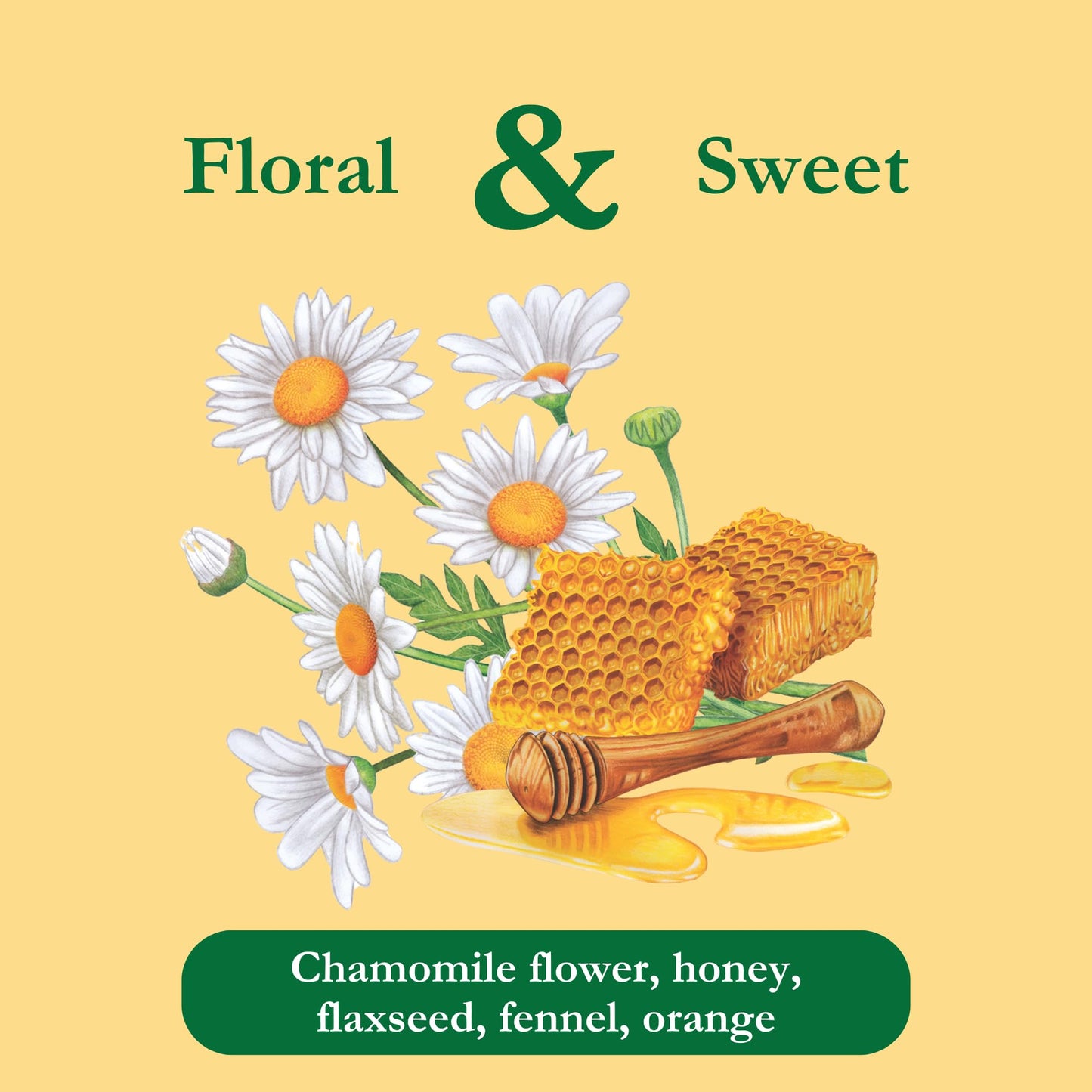 Tadin Chamomile Tea Bags, Caffeine Free Herbal Tea, 24 Count (Pack of 6), Individually Wrapped