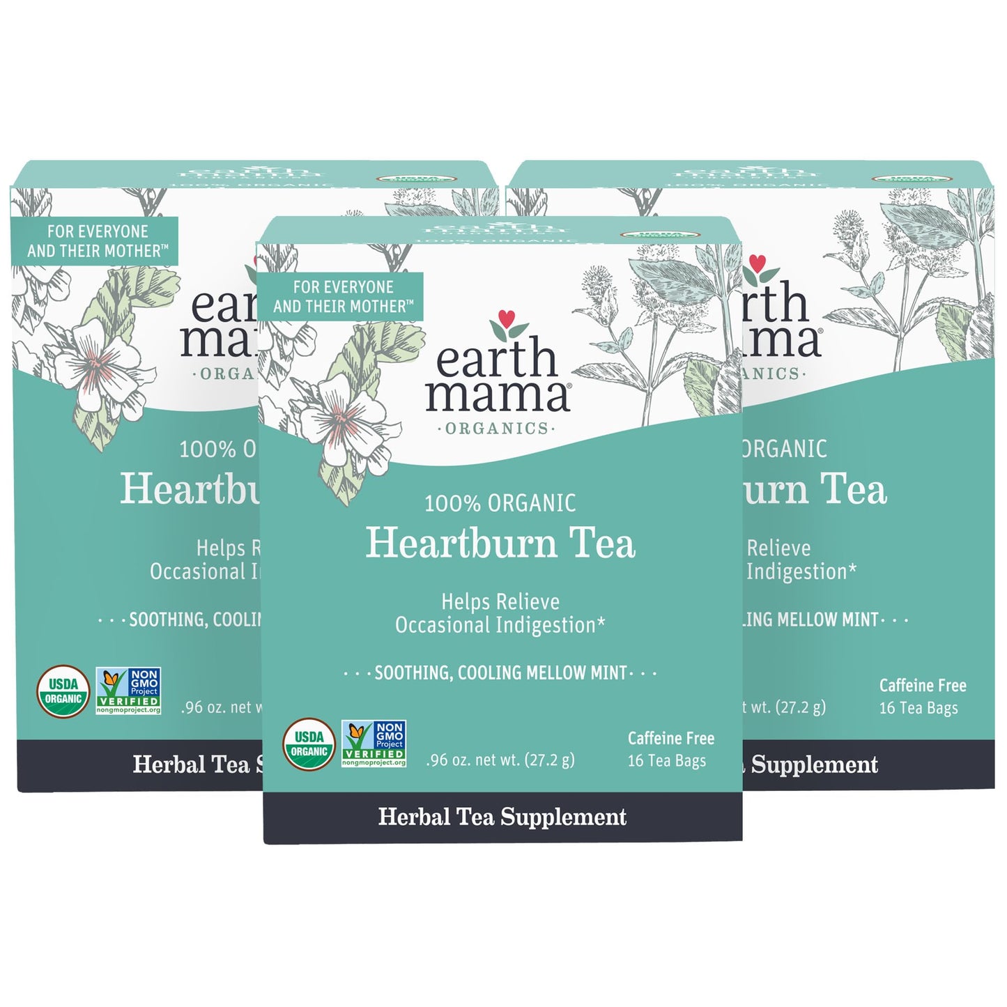 Earth Mama Organic Heartburn Tea - Herbal Blend with Marshmallow Root & Chamomile, 16 Teabags (3-Pack)