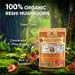 VOS GANOLUCIDUM Finely Chopped Reishi Mushroom, 25 Count, Convenient Zip Bags for Tea, Soup, or Porridge