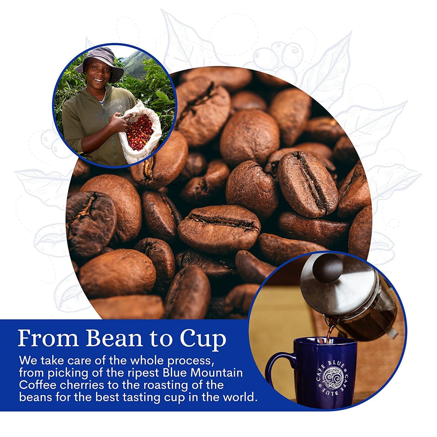 Cafe Blue - 100% Authentic Jamaica Blue Mountain Coffee From Clifton Mount Estate, Medium Roast Whole Bean Coffee, Premium Arabi