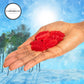 SwedishFish Soft & Chewy Red Fish Candy - Berry Flavor - 2 lbs Individually Wrapped Pack - Classic & Delicious Swedish Candy for