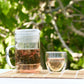 Tea & Tspirit-inspired flavorpets USDA Organic Decaffeinated Green Loose Leaf Tea 8 oz