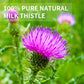 Tempoak Milk Thistle Tea Bags - 100% Pure Herbal Tea, Caffeine Free, Non-GMO, 60 Bags, 6.4 OZ
