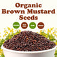 Food To Live Organic Brown Mustard Seeds, 20 Pounds - Non-Gmo. Great For Sprouting, Pickling And Cooking. Non-Irradiated. Bulk.