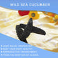 DABC OAK LAND Wild Caught Sun Dried Atlantic Black Sea Cucumber, 30-40pcs, Large 8oz Box, All Natural Nutritious海参