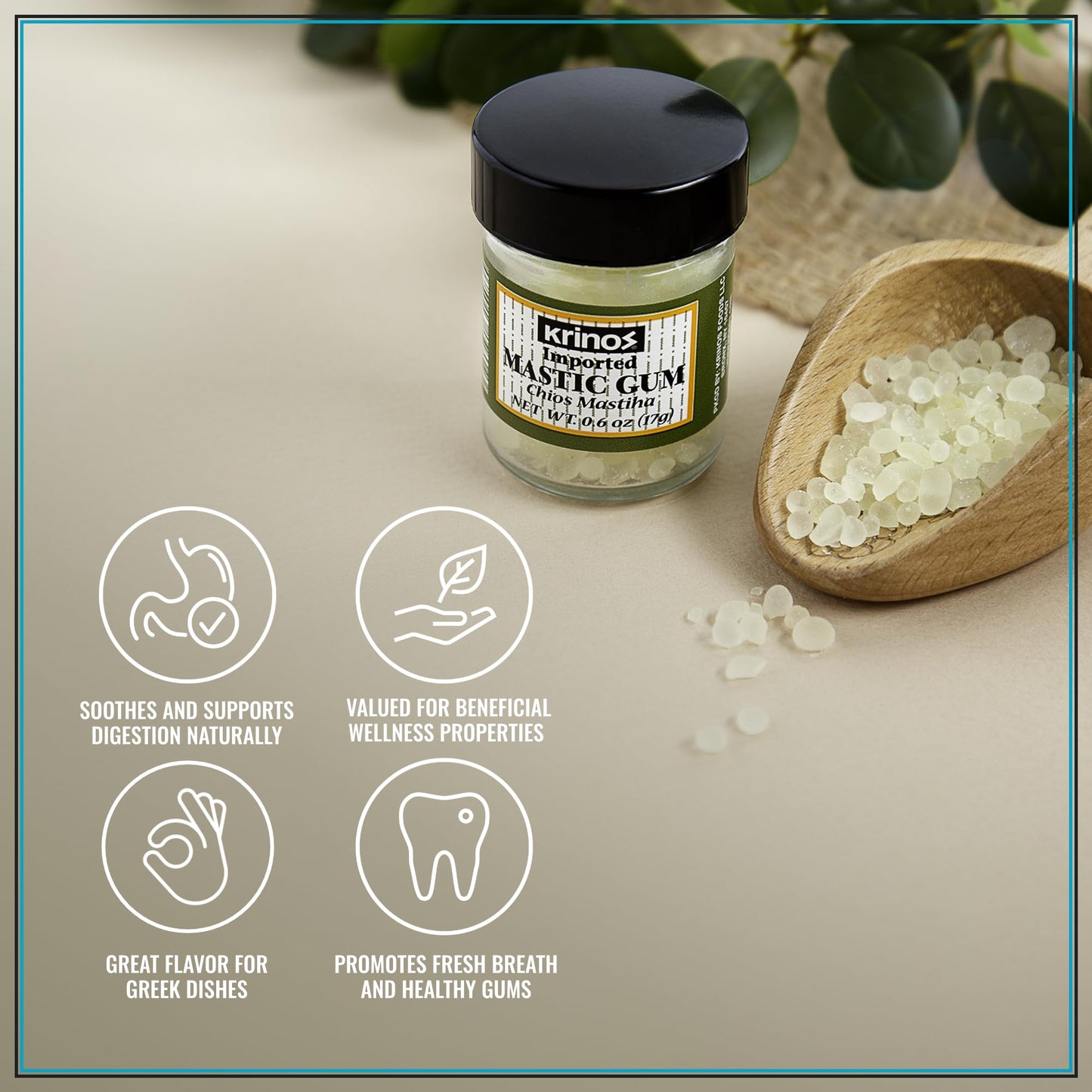 Krinos Greek Mastic Gum: Rich History, Piney Flavor, Culinary Treasure | Chios Island Pdo Product, 17G Jar
