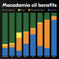 House of Macadamias  Macadamia Nut Oil  Cooking oil  enhanced Cold-Pressed Extra Virgin  16.9 fl. oz. Bottle - Keto  Vegan  Paleo  Gluten-Free  Sugar-Free