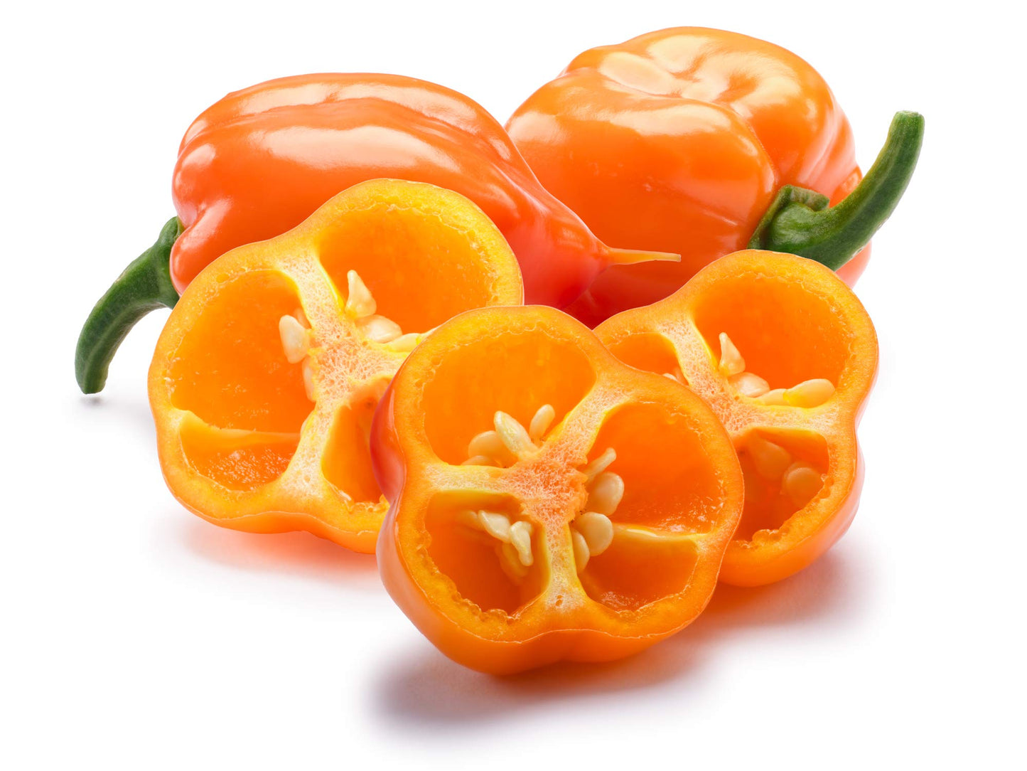Habanero Powder Pure, 8 Oz