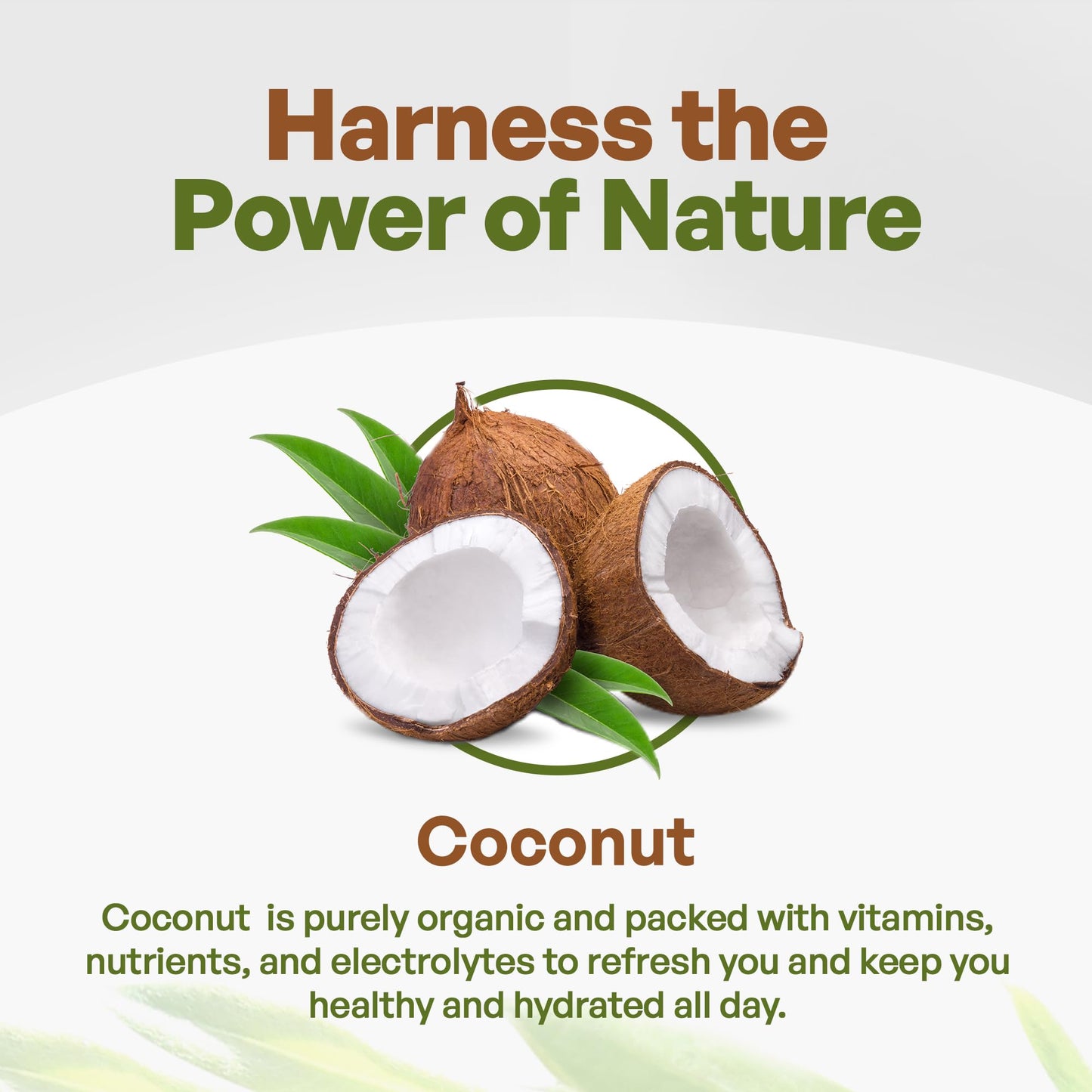 Go Nutra Coconut Water Powder, Organic Electrolyte dietary product, 16 Ounce, Model COCONUT-1LB