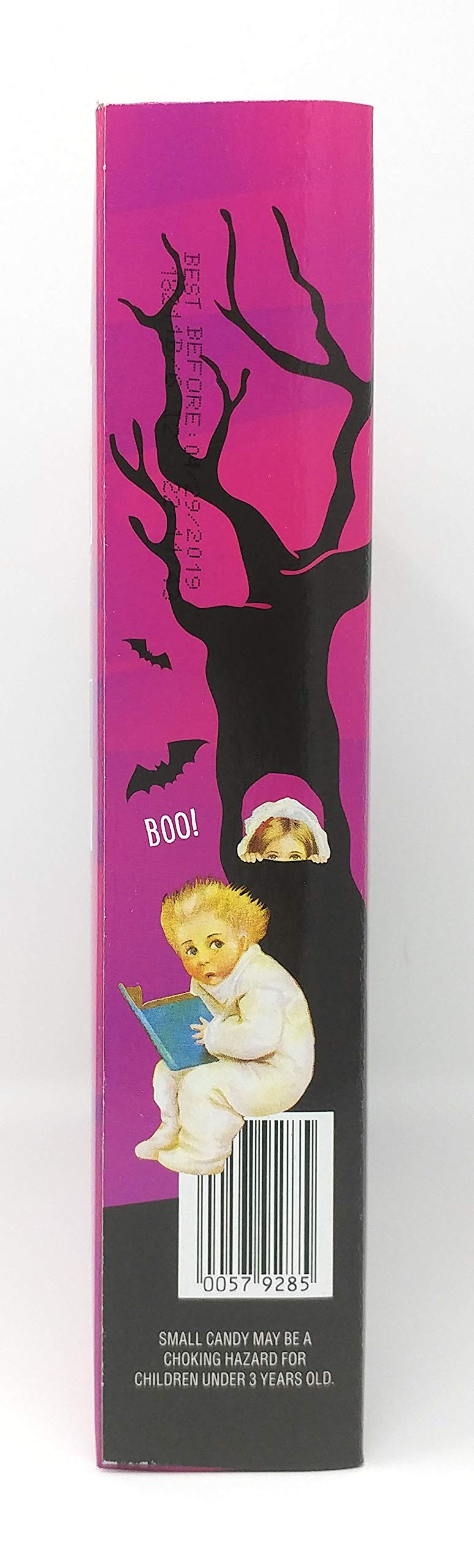 Trader Joes Halloween Haunted House Cookie Kit