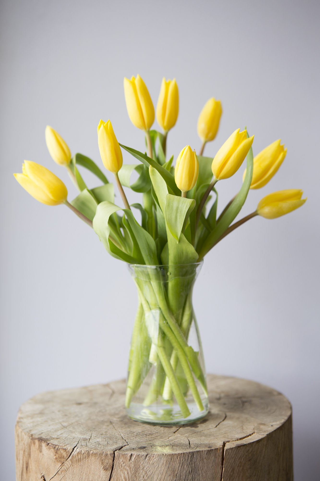 Blooms2Door Flowers - Valentine Collection - Bouquet Of 10 Yellow Tulips (Farm-Fresh) With Vase - Gift For Birthday, Sympathy, Thank You, Valentine, Mother’S Day Fresh Flowers