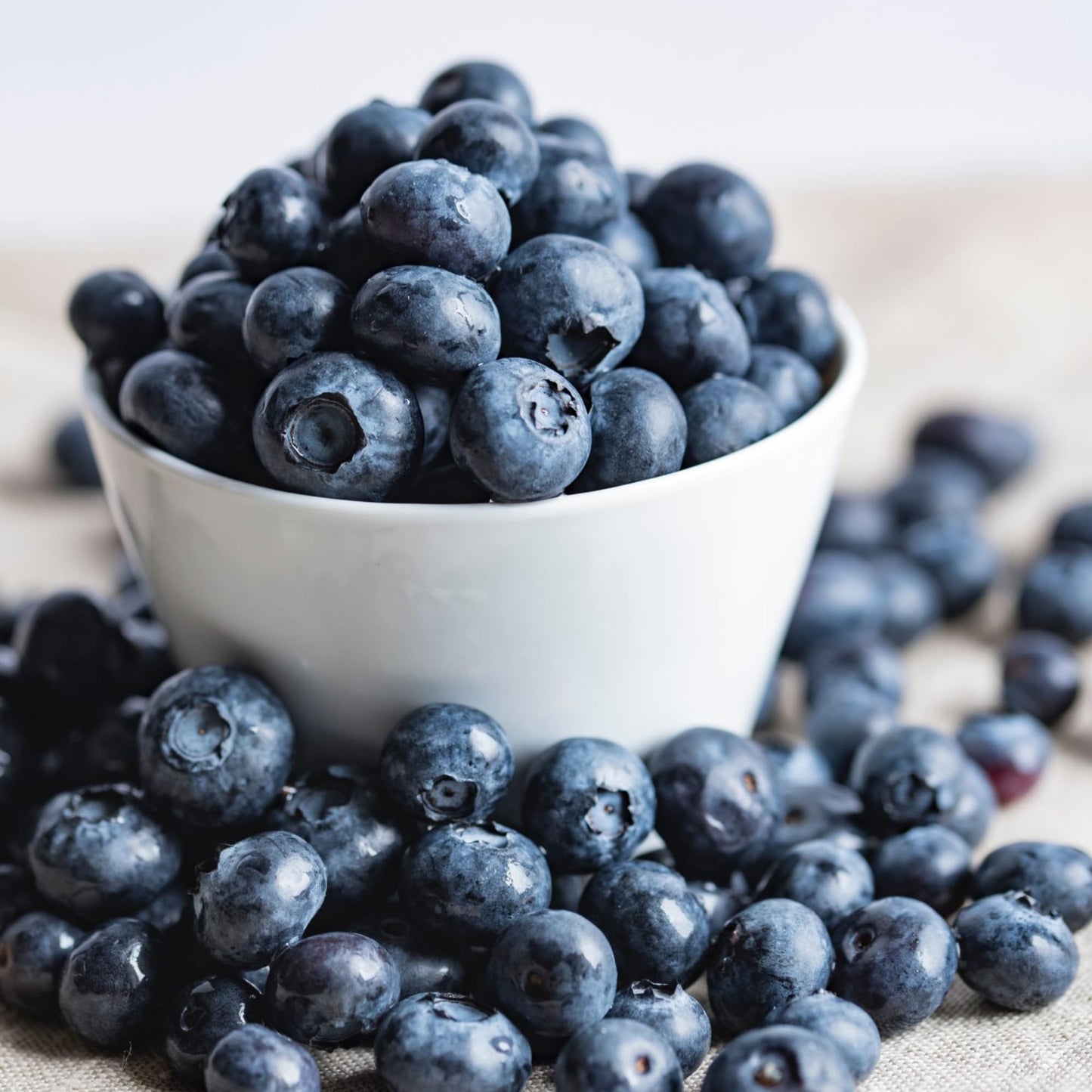 Bionaturae Organic Bilberry Fruit Spread, No Sugar Added, 9 Oz, 2 Pack