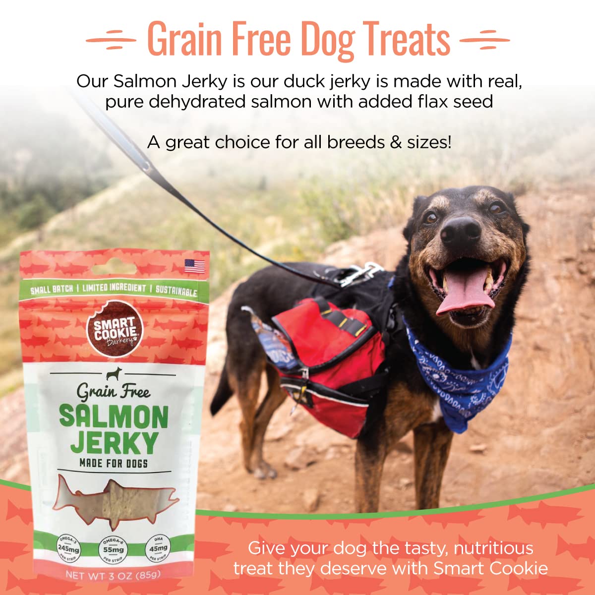 Smart Cookie Salmon Jerky Dog Treats - Dha & Omega Strips For Dogs & Puppies With Allergies, Sensitive Stomachs With Wild Caught