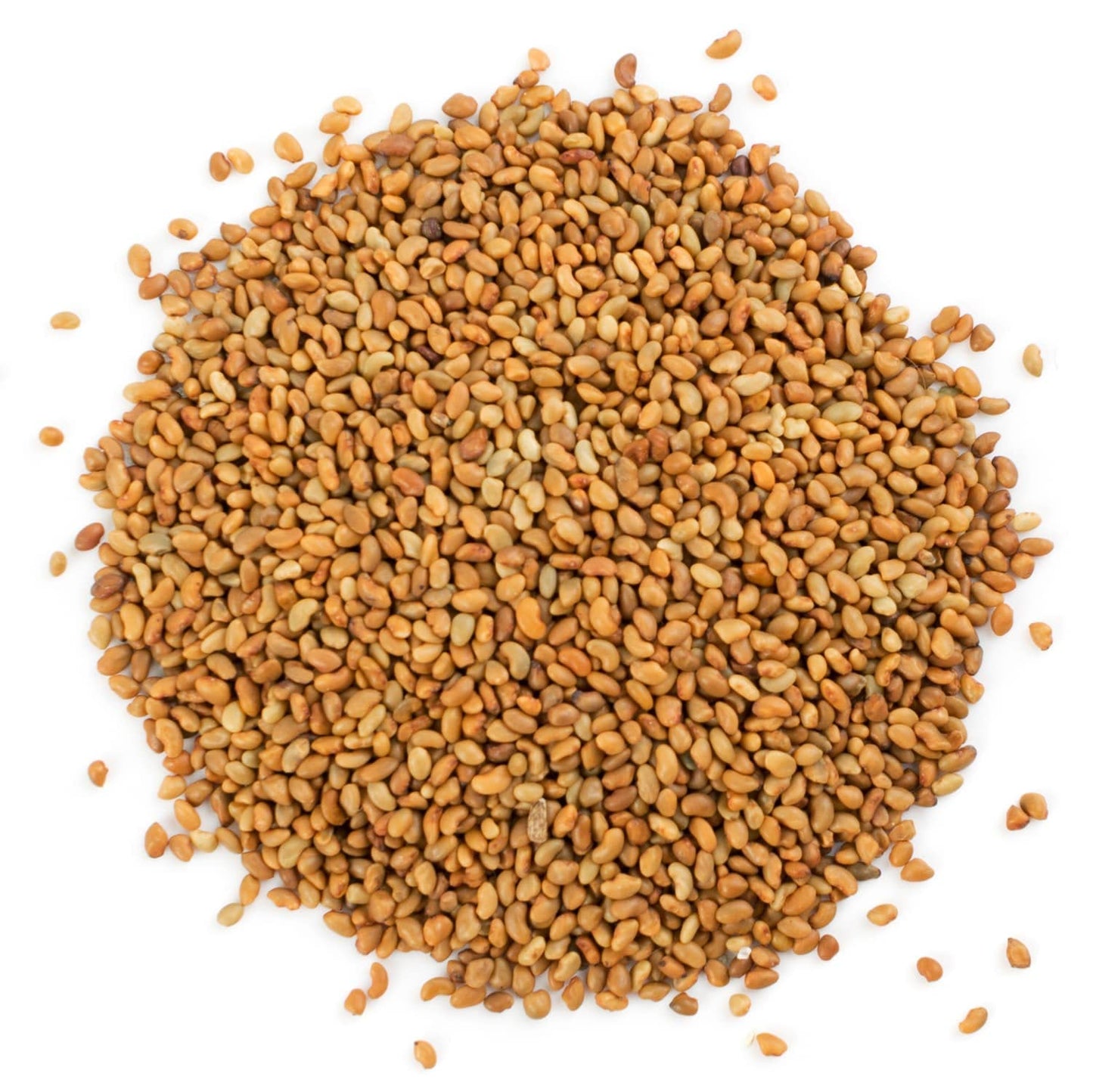 Food to Live Organic Alfalfa Seeds for Sprouting, Non-GMO, 12 Ounces, Pure, Kosher, Rich in Vitamin K, Green