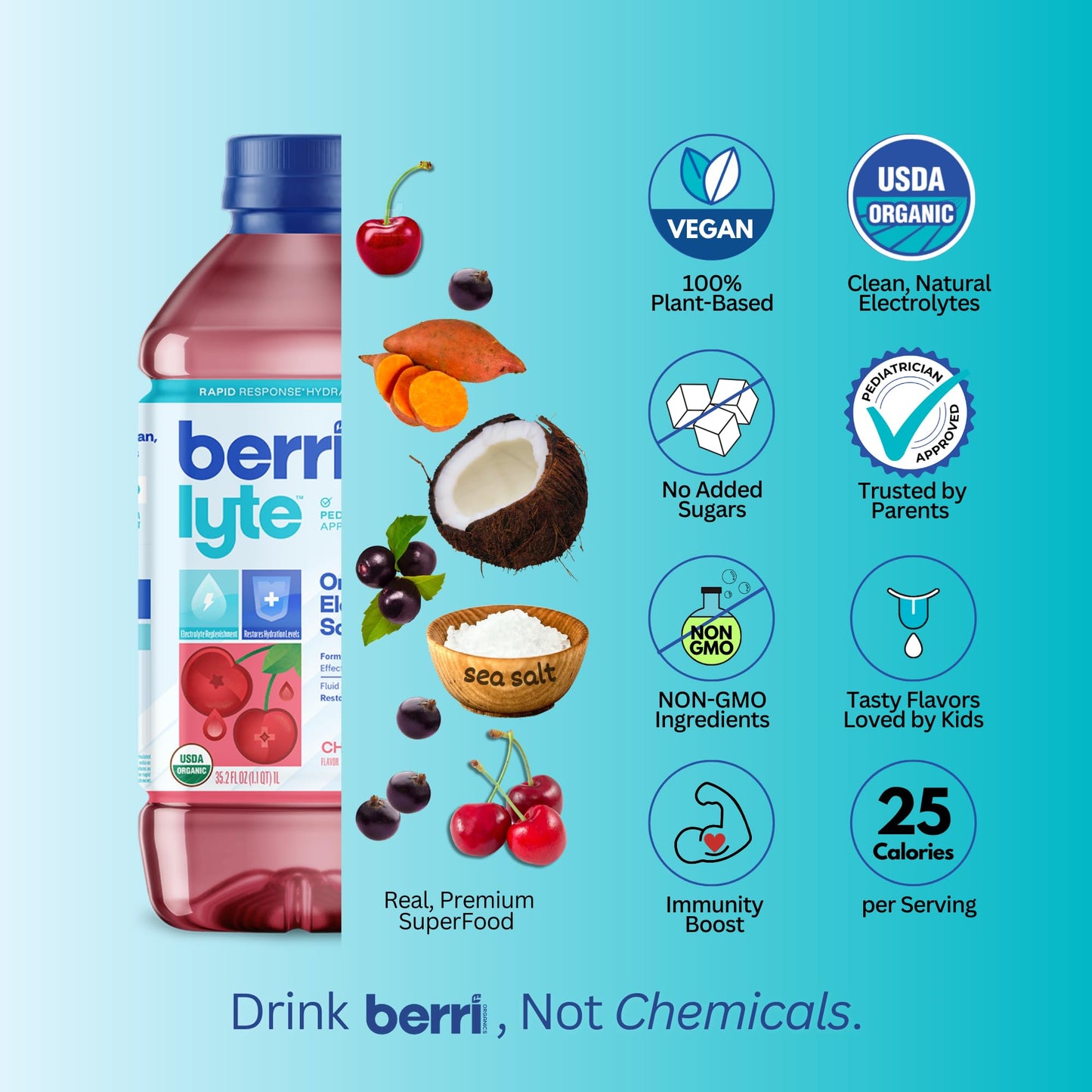 Berri Lyte Plant Based Organic Electrolyte Solution - Pediatric Rehydration Drink - Low Sugar Cherry Flavor, 1 L, 2 Ct