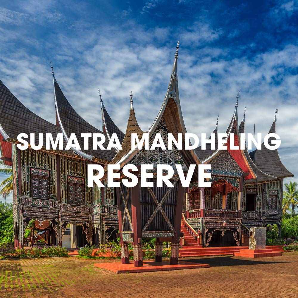 Sumatra Mandheling Dark Roast Coffee, Usda Organic, Whole Bean, Reserve, Fair Trade, Fresh Roasted 16-Ounce