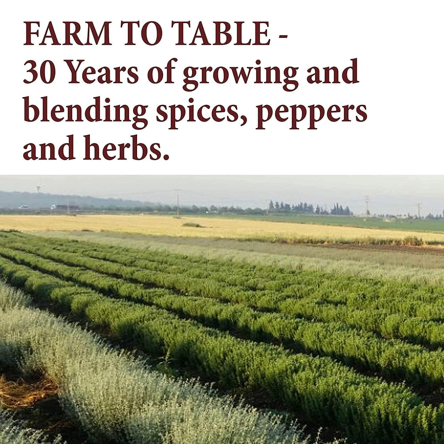 The Spice Way Pumpkin Pie Spice - 8 Oz Seasoning Includes Cinnamon, Ginger, Nutmeg, Cloves & Allspice - Perfect For Baking