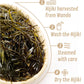 Korean Dried Seaweed Hijiki 250G / 8.8Oz -