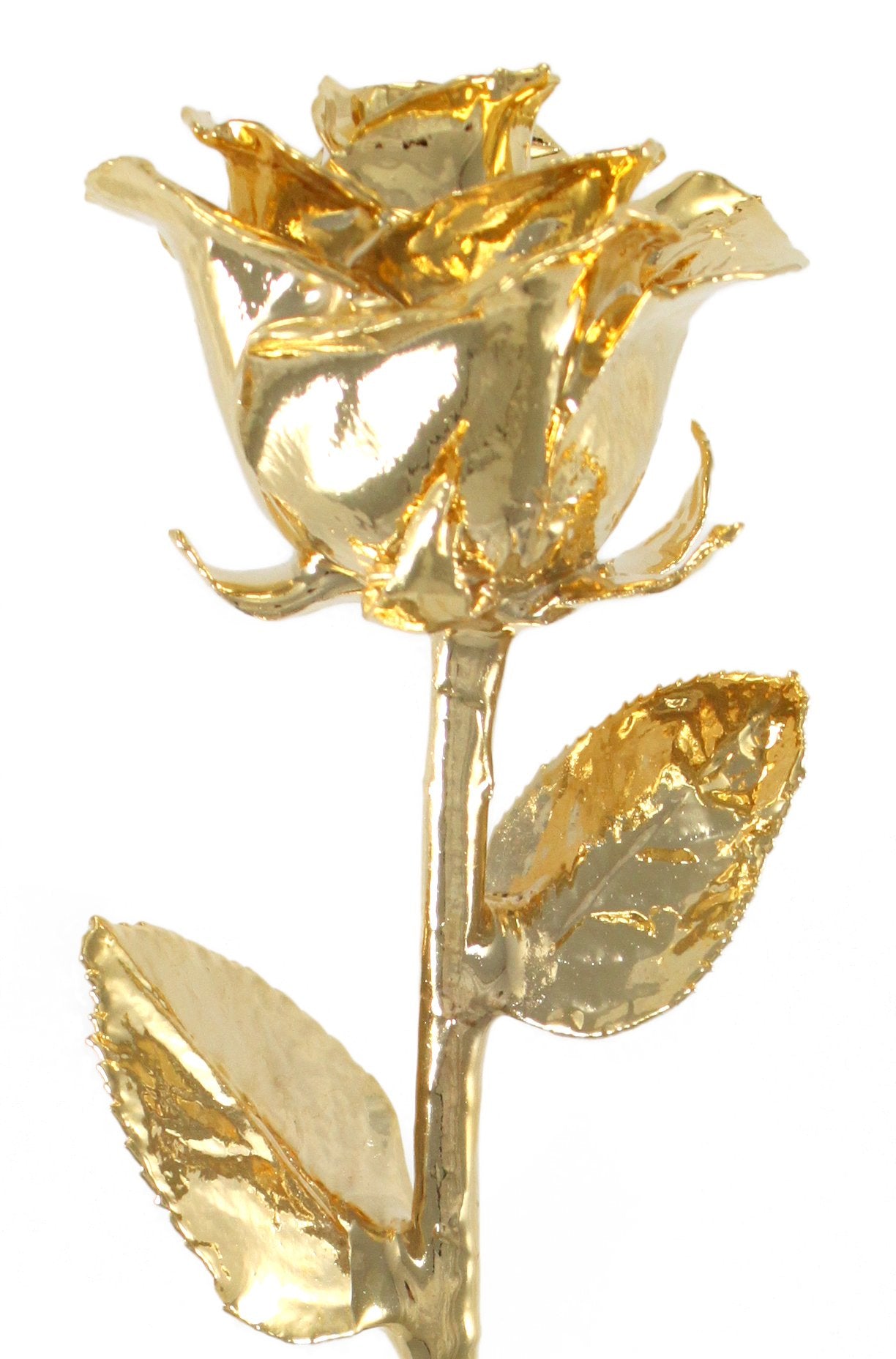 Living Gold Real Rose Dipped in 24k Gold - Venus Rose (12'' Open Bud)