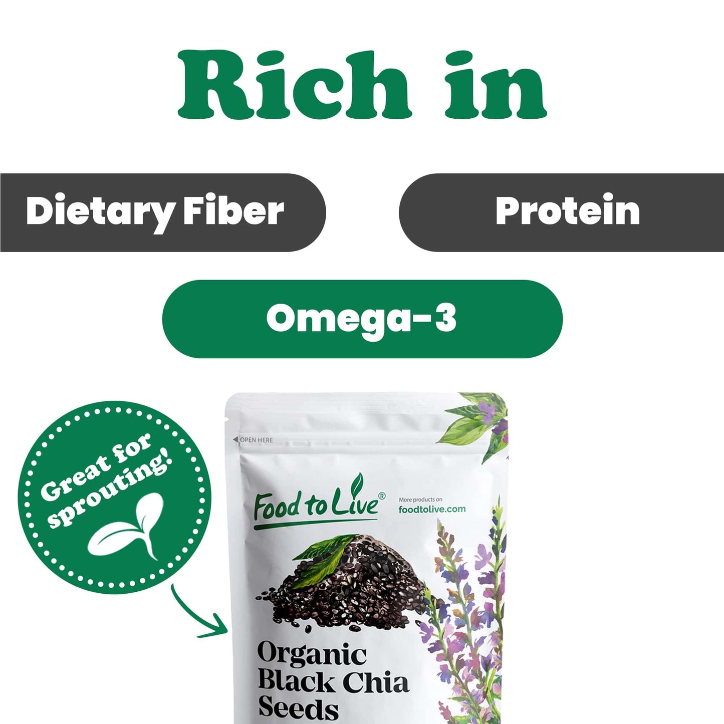 Food to Live - Organic Black Chia Seeds, 1 Pound Non-GMO, Whole, Sproutable, Vegan, Kosher, Keto, Sirtfood, Bulk. Rich in Essent