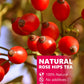 Teelux Rose Hips Tea, Premium Rosehip Herbal Tea, Dried Whole Rose Hips, Fruity Flavor And Aroma, 150G/5.3Oz