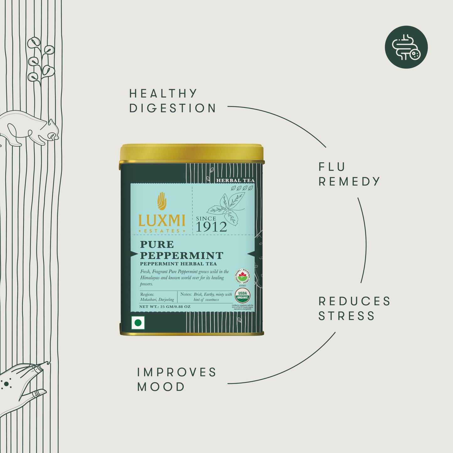 Luxmi Estates Purely Peppermint 25Gm Tin | Usda Certified Organic Herbal Tea | Mint Tea Best For Night Time