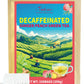 TeeLux Decaf Peach Ginger Green Tea, Mild Decaffeinated, 100 Count Pack