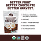 Mavuno Harvest Organic Chocolate Covered Coconut - Organic Dried Coconut Dipped in Dark Chocolate - Non GMO, Preservative Free,