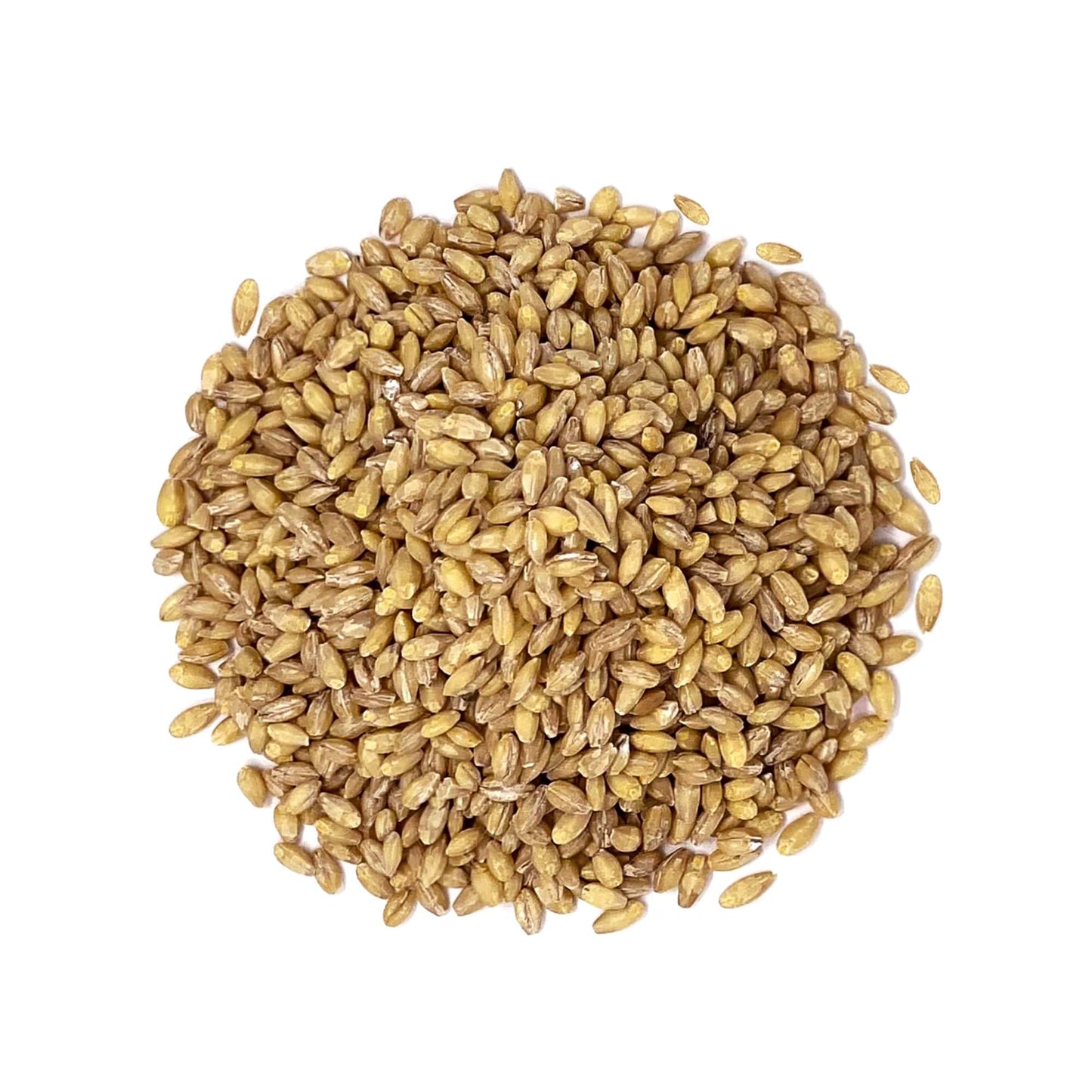 Food to Live Hulled Barley Grain, 100% Whole Grain, Vegan, 10 Pounds