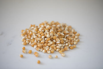 Amish Country Popcorn | 25 Lb Bag | Mushroom Popcorn Kernels | Old Fashioned, Non-Gmo And Gluten Free (Mushroom - 25 Lb Bag)