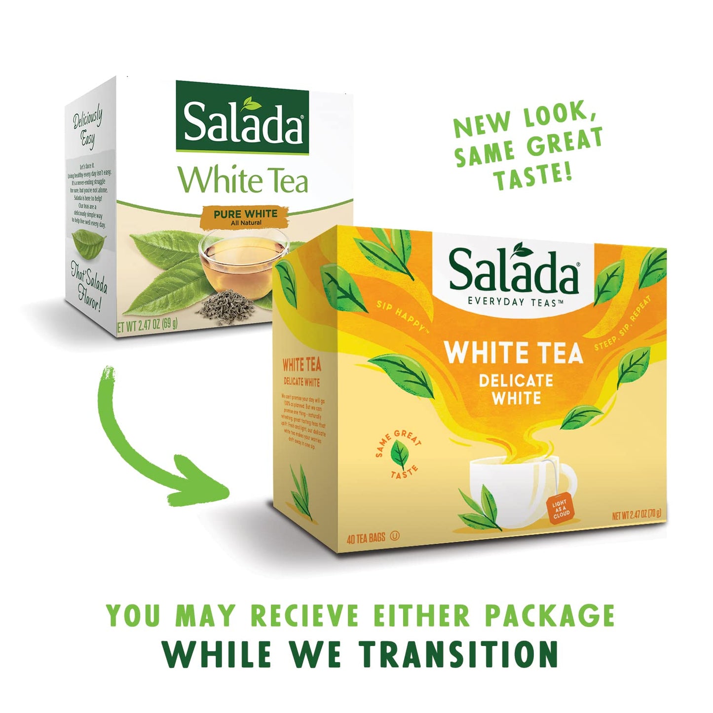 Salada White Tea - Delicate White Tea with 40 Individually Wrapped Bags, Pack of 6, Caffeinated