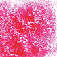 Edible Glitter - 4 oz Jar