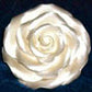 Americolor Airbrush Colors - Choose from over 40 Colors