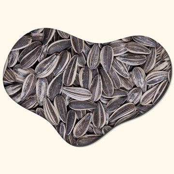 Salted Sunflower Seeds Fresh baked(1lb)