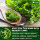 Premium Dried Parsley Leaves – 100% Pure, Non-GMO, Gluten-Free, Vegan – Aromatic Culinary Herb for Cooking, Garnish, and Seasoning