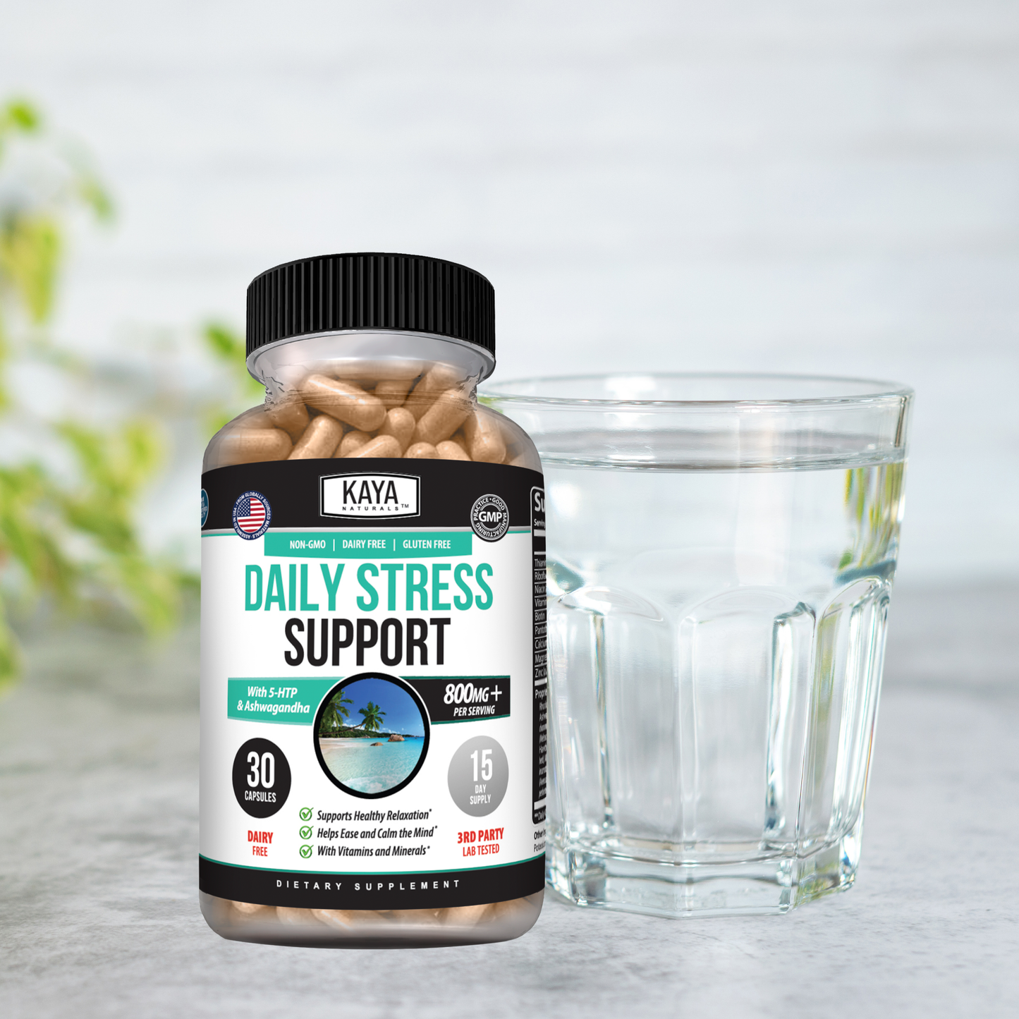 Daily Stress Support