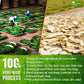 Premium Moringa Ginger Herbal Tea