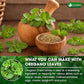 Premium Dried Oregano Leaves – 100% Pure, Non-GMO, Gluten-Free, Vegan – Aromatic Herb for Cooking, Seasoning, Sauces, and Pizza