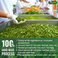 Premium Matcha Green Tea Bags | Blend of Sencha, Green Tea, Spearmint & Orange Slices