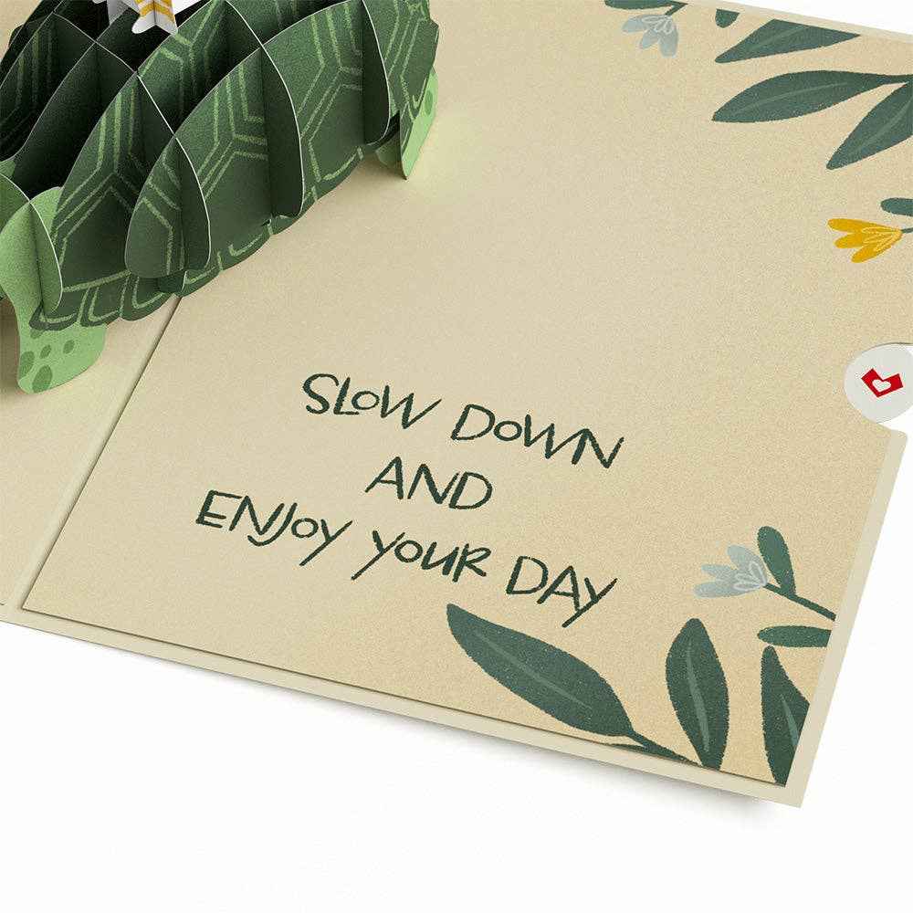 Shell-ebrate Birthday Turtle 5''x7'' Card, Birthday Cards