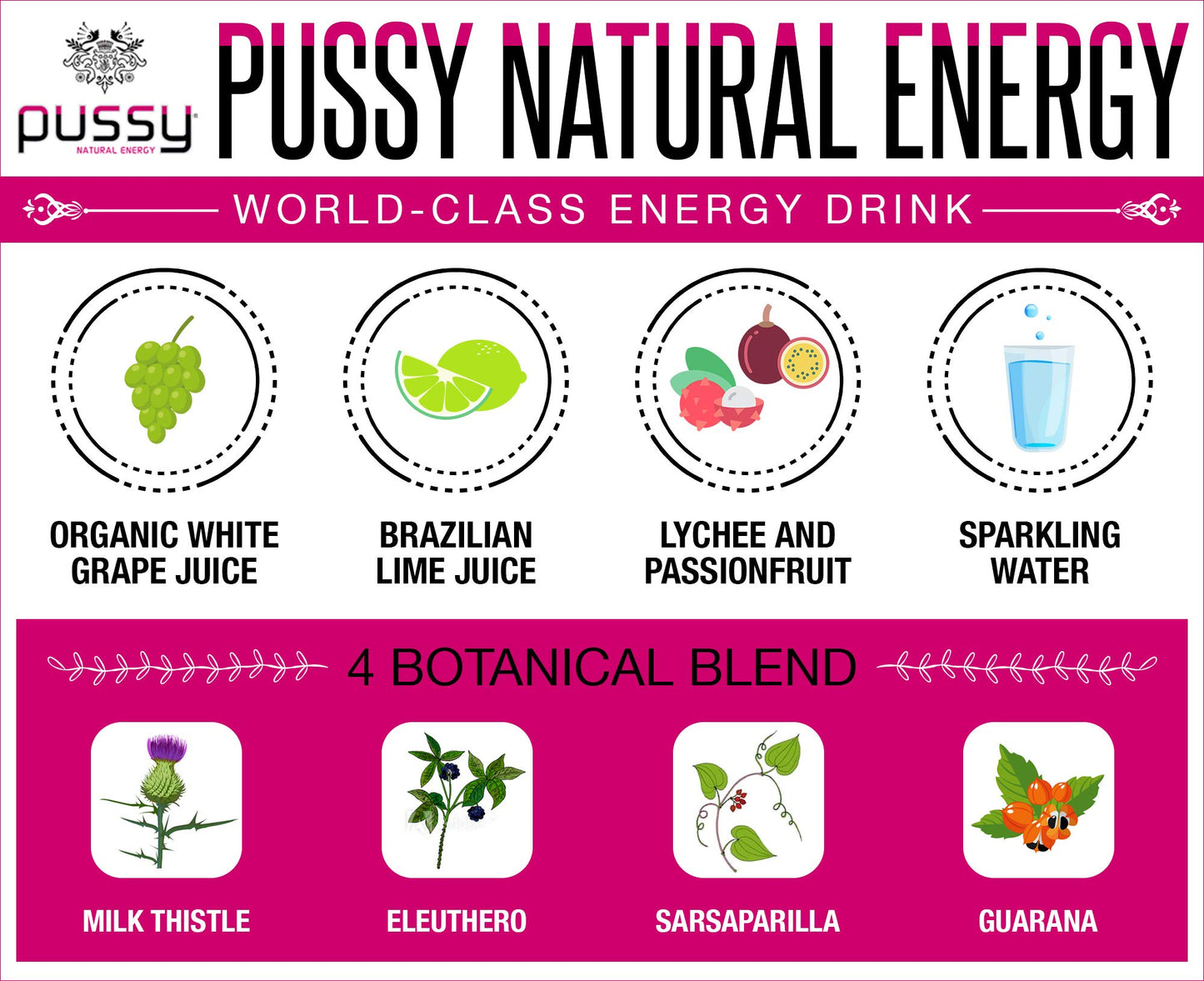 Pussy Natural Energy Drink (250ml - Pack of 6)