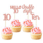 Gyufise 24 Pack Glitter 10Th Birthday Cupcake Toppers Double Digits Cupcake Toppers Hello 10 Ten Cupcake Picks For 10Th Birthday