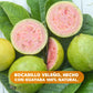 SU SABOR LATIN TASTE Bocadillo Veleño - 18 Units, 1.87 lb, White/Red, Colombian Sweet Snack