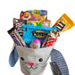 Easter Gift Basket for Kids, 14 Nickelodeon Candy Filled Eggs, Bunny Basket Panier, Chocolate Candy, Fun Easter Gift for Boys an