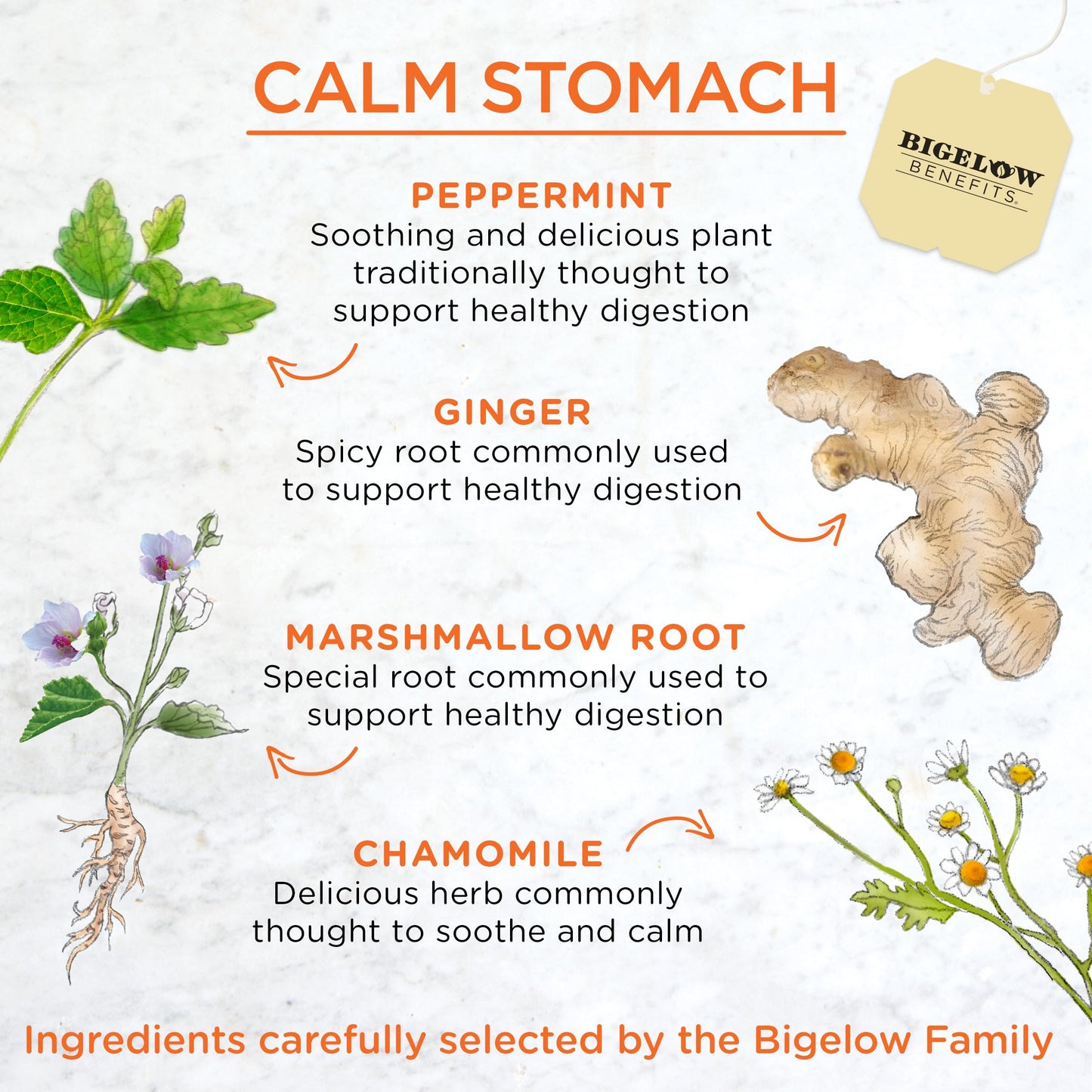 Bigelow Tea Calm Stomach Ginger Peach Herbal Tea Bags, Caffeine-Free, 18 Count, Pack of 6